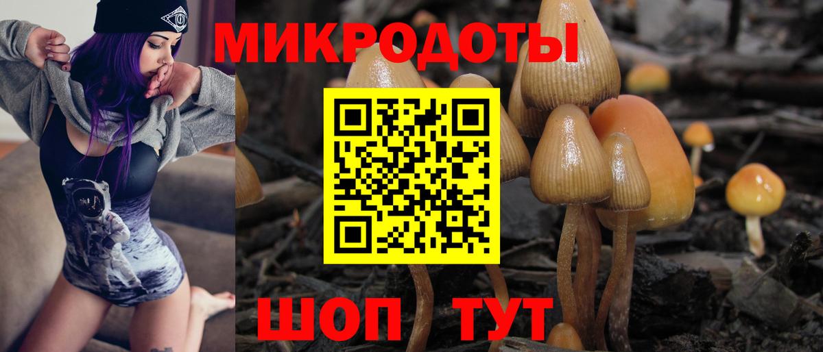 Галлюциногенные грибы мицелий  Галлюциногенные грибы Magic Shrooms  где продают наркотики  Вход с VPN  Скопин 